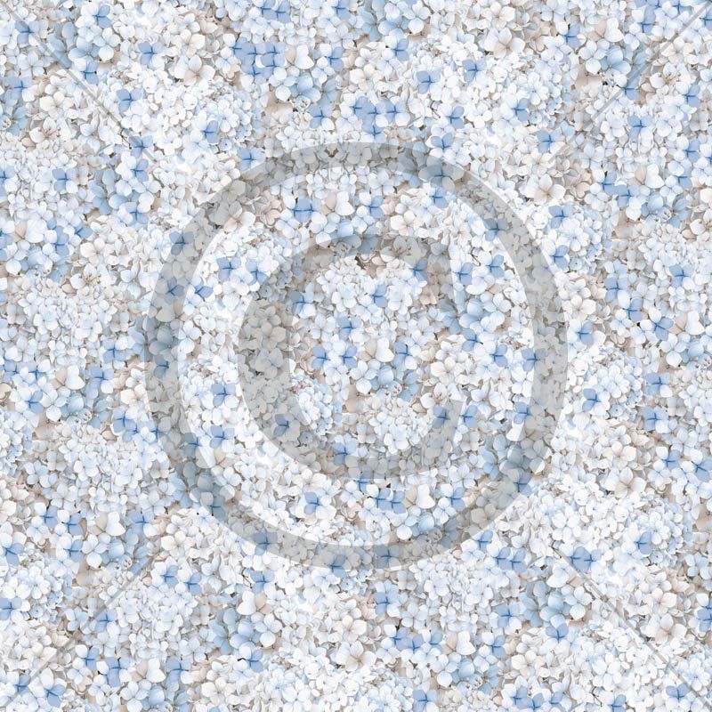 PD 1609 Hortensia