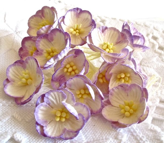 Hovedbilde Kirsebærblomst, mørk lilla ...