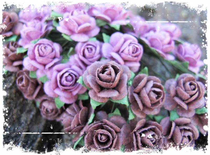 Nr 81, Roser 1,2 Vintage rosa (6)