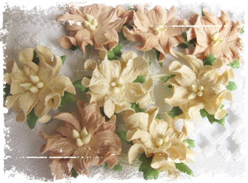 Små gardenia, beige (6)