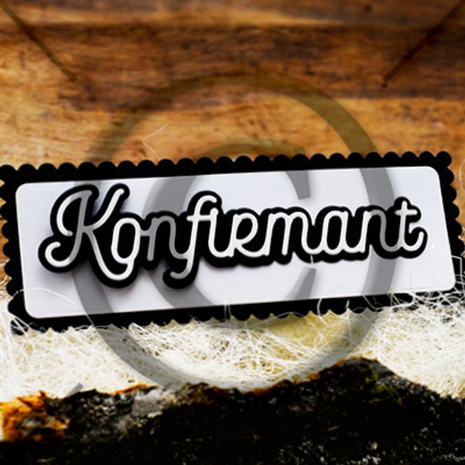 Hovedbilde Konfirmant 23 ( 6 dies )