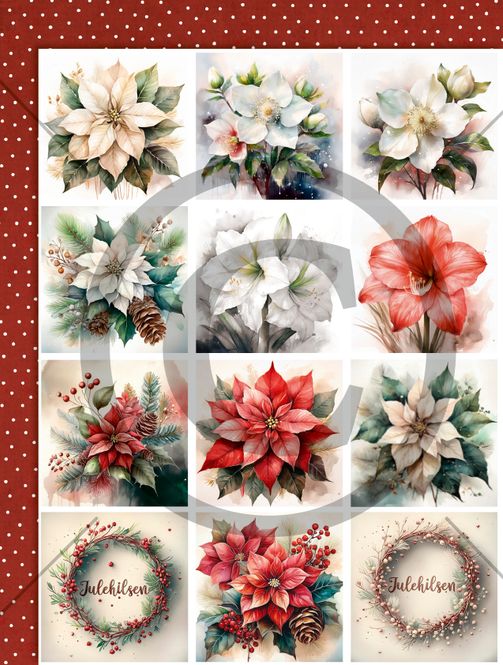 Hovedbilde Juleblomster ( 25 motivark )